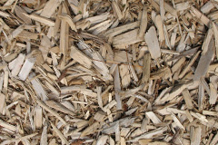 biomass boilers Dalserf